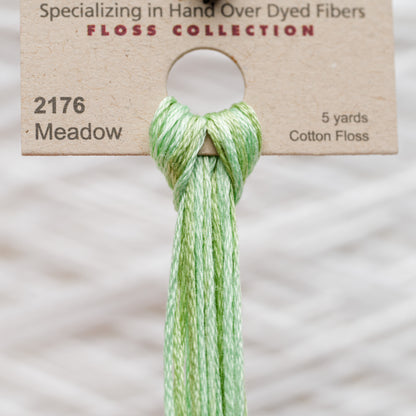 2176 Meadow - Weeks Dye Works 6-Strand Floss