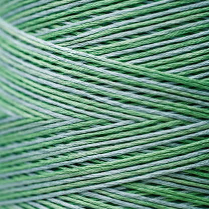 2181 Cactus - Weeks Dye Works 6-Strand Floss