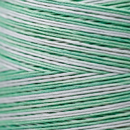2186 Iceberg - Weeks Dye Works 6-Strand Floss