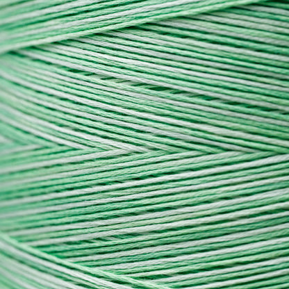 2191 Granny Smith - Weeks Dye Works 6-Strand Floss