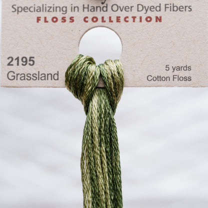 2195 Grassland - Weeks Dye Works 6-Strand Floss