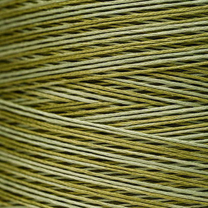 2196 Scuppernong - Weeks Dye Works 6-Strand Floss