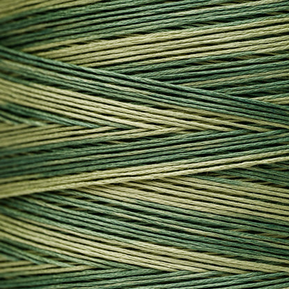 2198 Ivy - Weeks Dye Works 6-Strand Floss