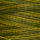 2201 Moss - Weeks Dye Works 6-Strand Floss