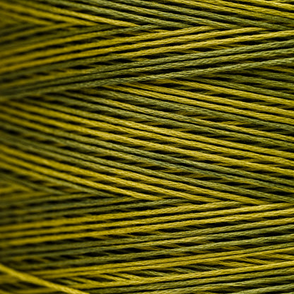 2201 Moss - Weeks Dye Works 6-Strand Floss