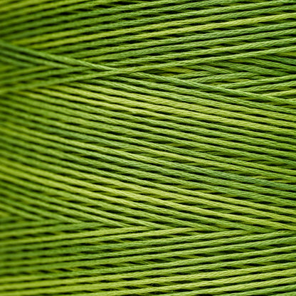 2202a Apple Pucker - Weeks Dye Works 6-Strand Floss