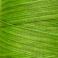 2204a Paris Green - Weeks Dye Works 6-Strand Floss