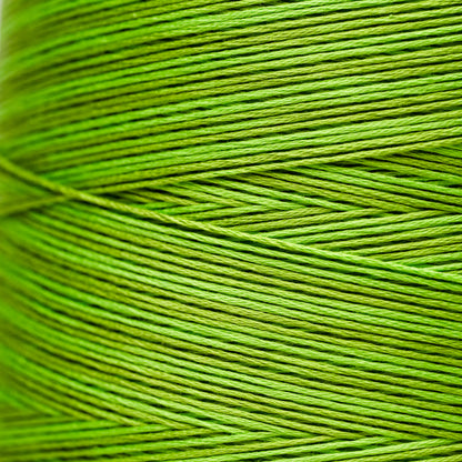 2204a Paris Green - Weeks Dye Works 6-Strand Floss