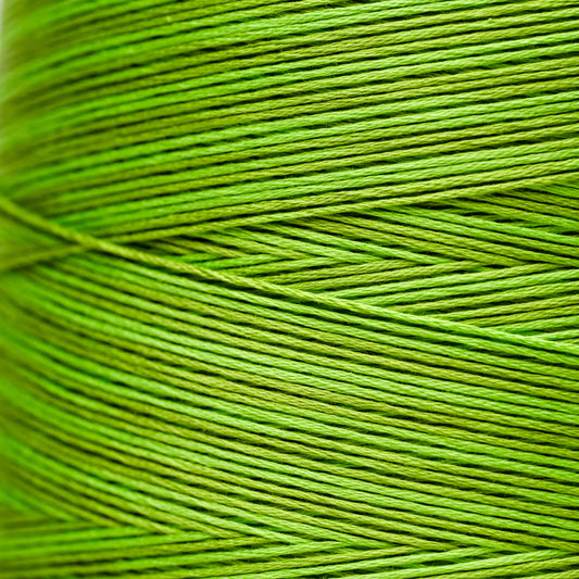 2204a Paris Green - Weeks Dye Works 6-Strand Floss