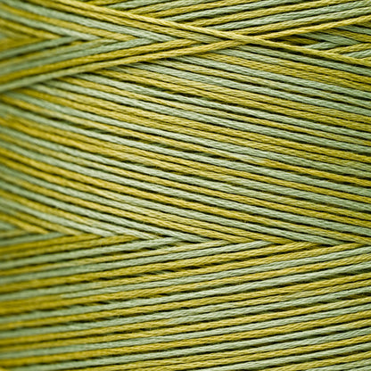 2206 Pistachio - Weeks Dye Works 6-Strand Floss