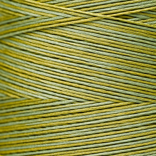 2206 Pistachio - Weeks Dye Works 6-Strand Floss