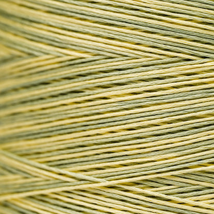 2210 Citronella - Weeks Dye Works 6-Strand Floss