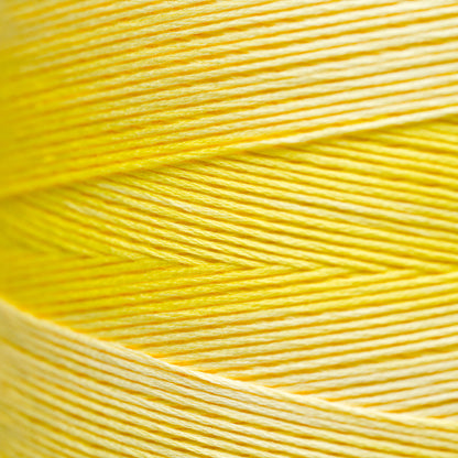 2217 Lemon Chiffon - Weeks Dye Works 6-Strand Floss