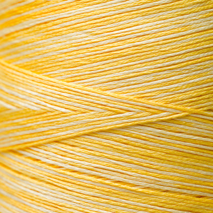 2218 Sally's Sunshine - Weeks Dye Works 6-Strand Floss