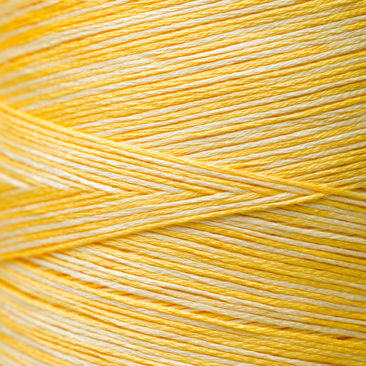 2218 Sally's Sunshine - Weeks Dye Works 6-Strand Floss