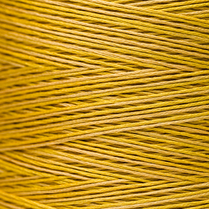 2220 Curry - Weeks Dye Works 6-Strand Floss
