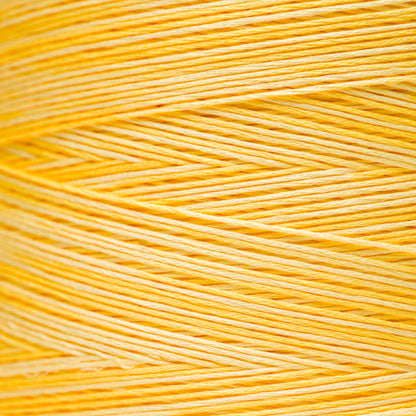 2223 Saffron - Weeks Dye Works 6-Strand Floss