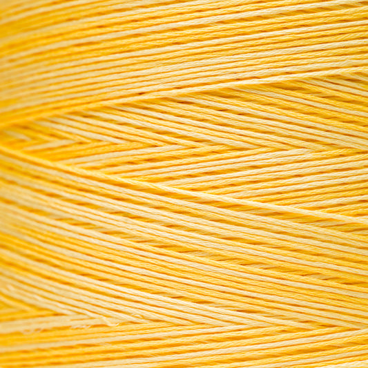 2223 Saffron - Weeks Dye Works 6-Strand Floss