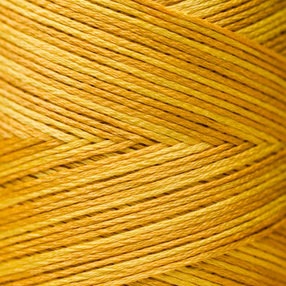 2224 Squash - Weeks Dye Works 6-Strand Floss