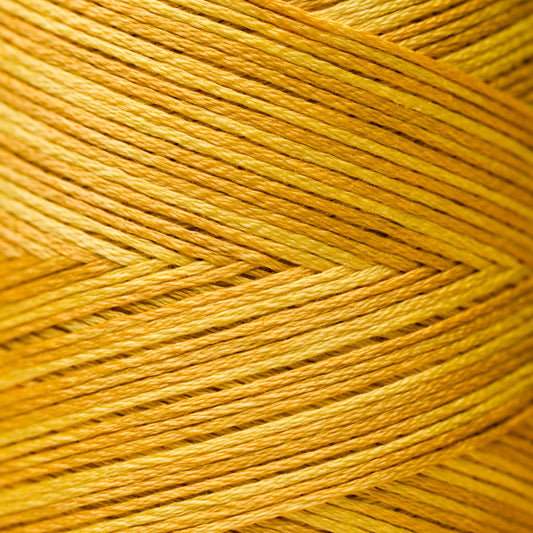 2224 Squash - Weeks Dye Works 6-Strand Floss