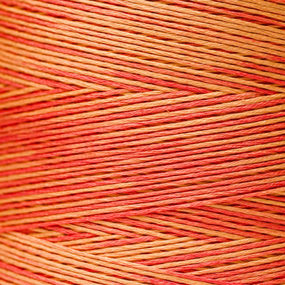 2234 Autumn Leaves - Weeks Dye Works 6-Strand Floss