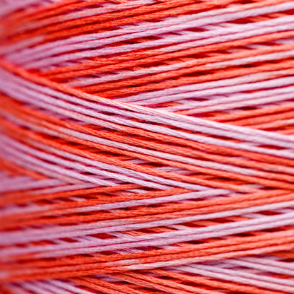 2247 Flamingo - Weeks Dye Works 6-Strand Floss