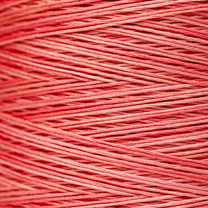 2249 Sockeye - Weeks Dye Works 6-Strand Floss