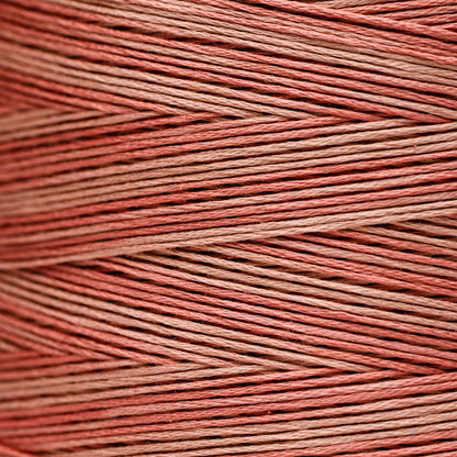 2254 Cinnabar - Weeks Dye Works 6-Strand Floss