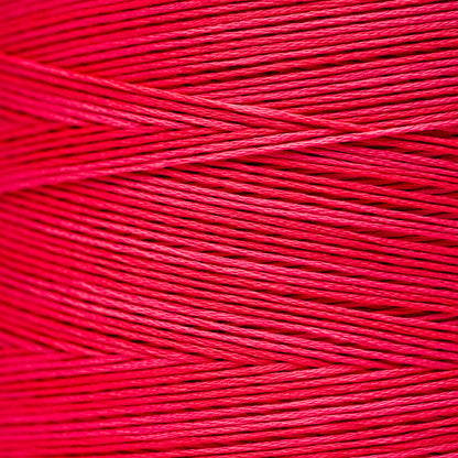 2262 Watermelon Punch - Weeks Dye Works 6-Strand Floss