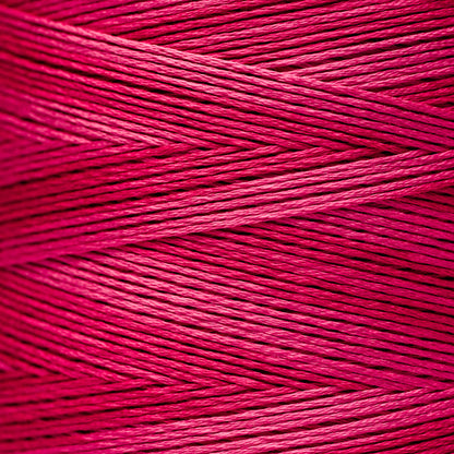 2263 Begonia - Weeks Dye Works 6-Strand Floss