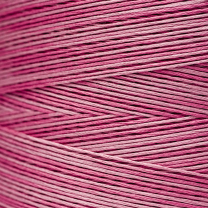 2272 Busy Lizzie - Weeks Dye Works 6-Strand Floss