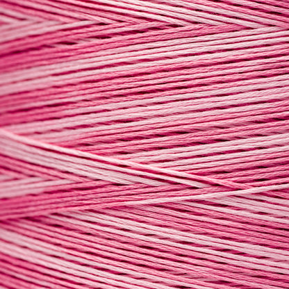 2280 Emma's Pink - Weeks Dye Works 6-Strand Floss