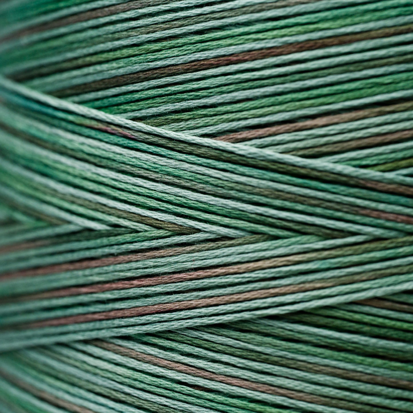 4135 Foliage - Weeks Dye Works 6-Strand Floss