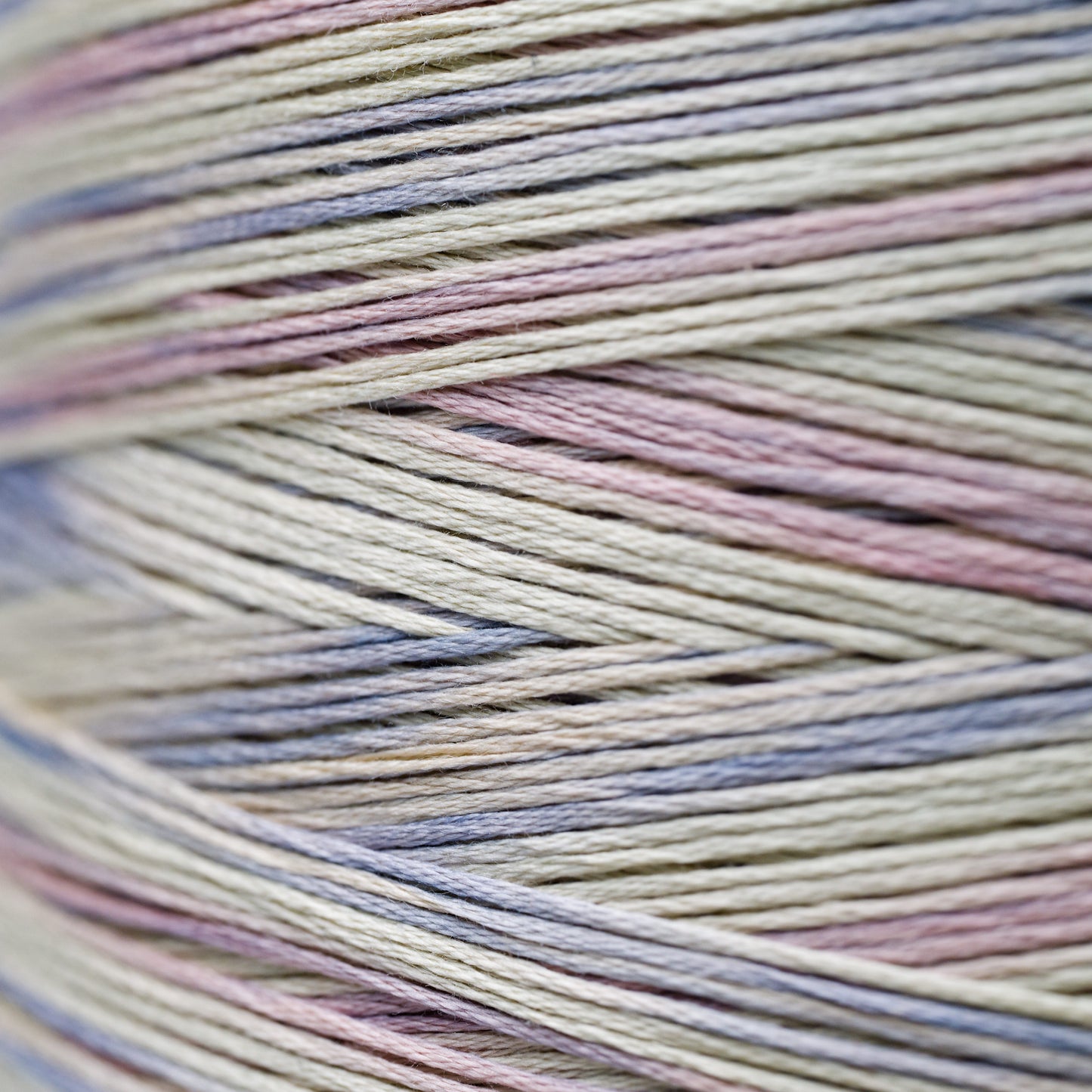 4141 Clam Shell - Weeks Dye Works 6-Strand Floss