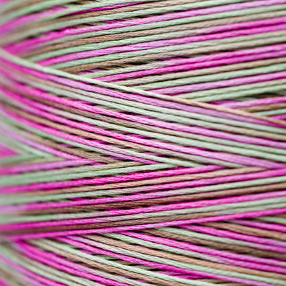 4147 Spumoni - Weeks Dye Works 6-Strand Floss