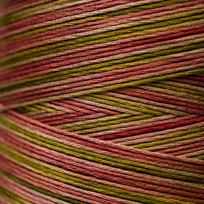 4155 Tobacco Road - Weeks Dye Works 6-Strand Floss