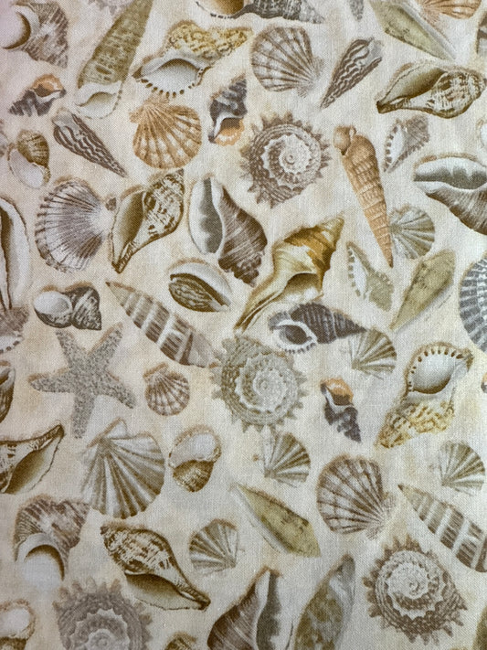 Beach Shells - Timeless Treasures