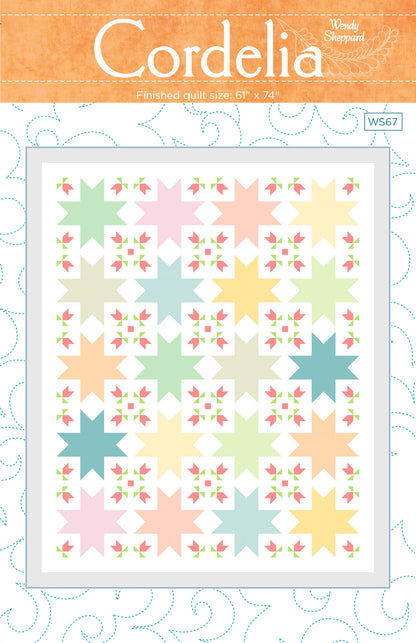 Buds and Butterfly Quilt Kit - Riley Blake Designs