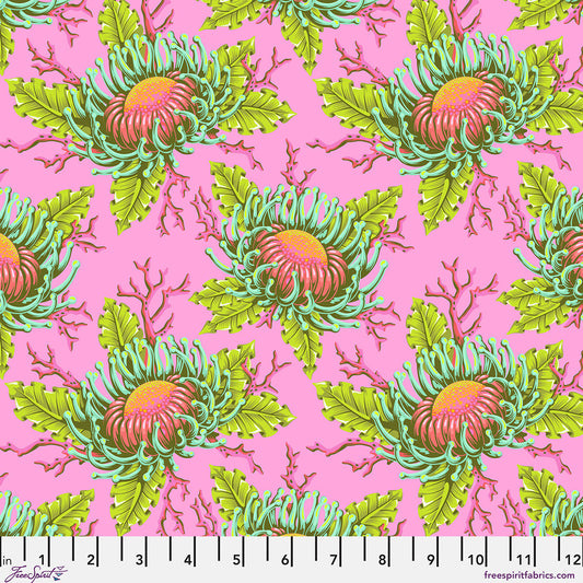**PRE-ORDER** Tula Pink - Floral Reef - Friends & Anemones (Coralline)