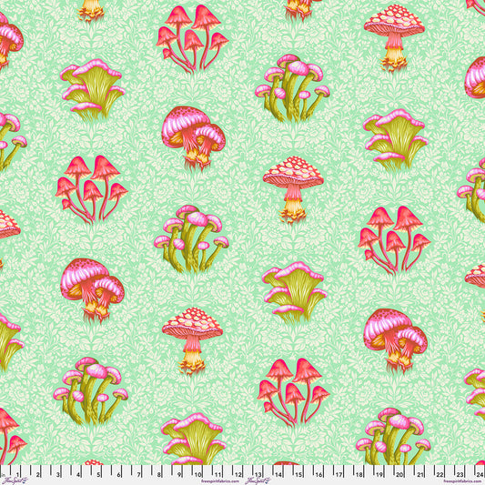 **PRÉCOMMANDE** Tula Pink - Down To Earth - Morel Support (Afterglow)