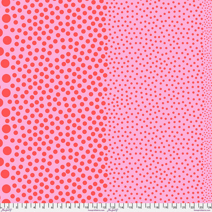 **PRÉCOMMANDE** Tula Pink - Down to Earth (True Colors) - Stones (Watermelon)