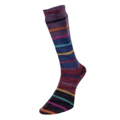 Evolution Striped Sock