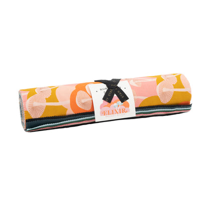 Elixir by Melody Miller - Layer Cakes 10 po - Ruby Star Society