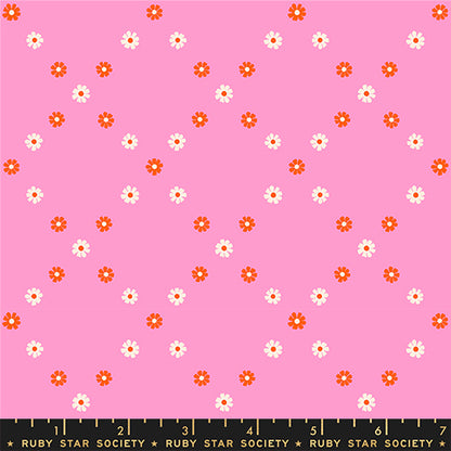 Best Day Ever Fat Quarter Bundle 24 pcs - Ruby Star Society