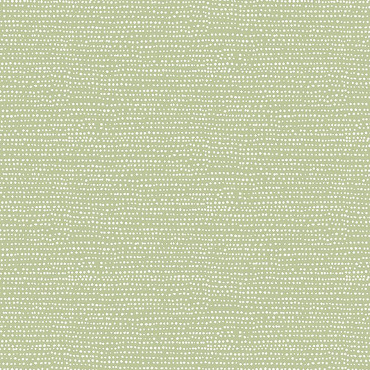 Moonscape - Reed - Dear Stella