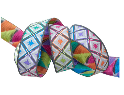 STARGAZER IN STORM - 7/8" WIDTH (22MM) - TULA PINK ROAR