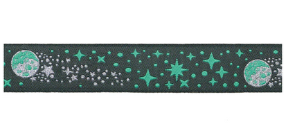 METEOR SHOWER IN STORM - 7/8" WIDTH (22MM)- TULA PINK ROAR