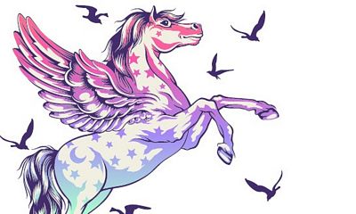 **PRÉCOMMANDE** Trousse à crayons Pegasus Tula Pink